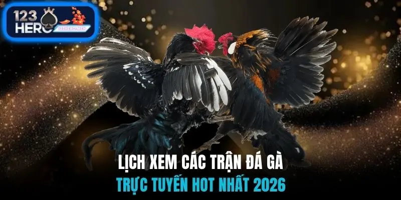 Lịch xem các trận đá gà trực tuyến hot nhất 2026