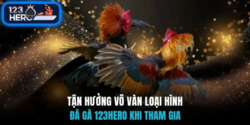 Tận hưởng vô vàn loại hình đá gà 123Hero khi tham gia