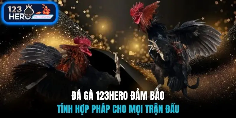 Đá gà 123Hero đảm bảo tính hợp pháp cho mọi trận đấu