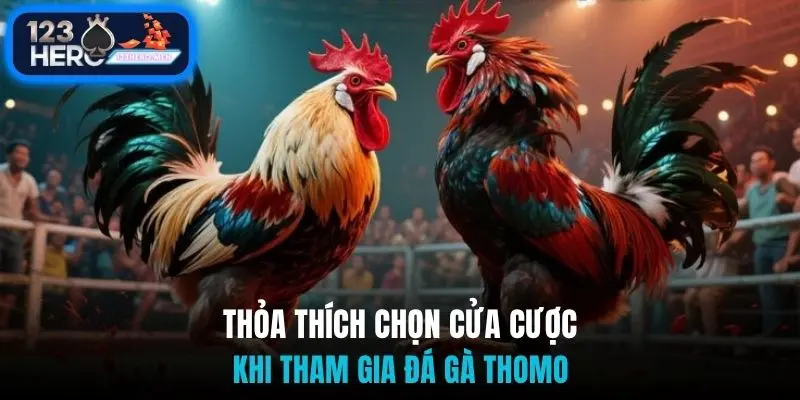 Thỏa thích chọn cửa cược khi tham gia đá gà thomo