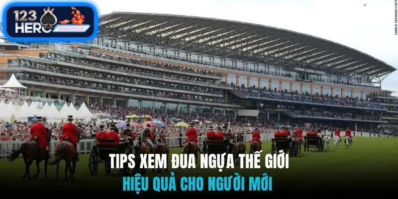 Tips xem đua ngựa thế giới hiệu quả cho người mới 