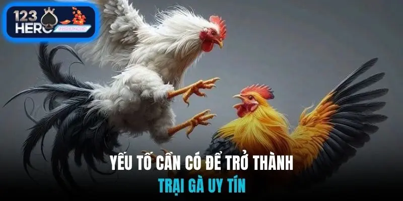 Yếu tố cần có để trở thành trại gà uy tín