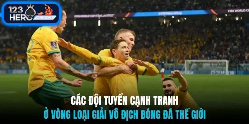 Các đội tuyển cạnh tranh ở vòng loại giải vô địch bóng đá thế giới