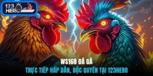 WS168 đá gà