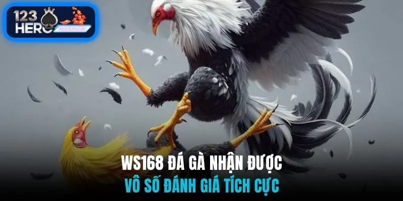 WS168 đá gà nhận được vô số đánh giá tích cực